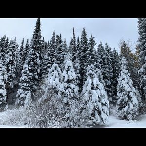 Meet your Posher, Olga